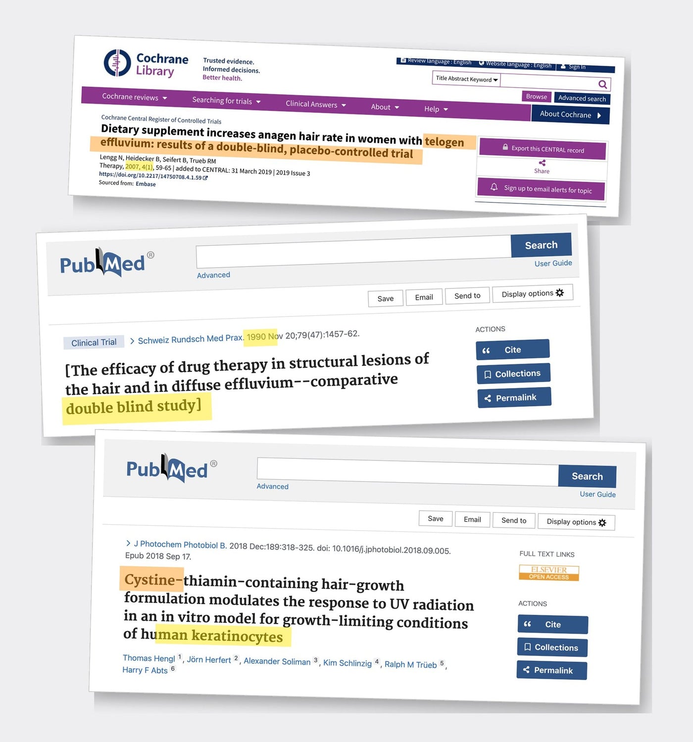 European dermatology studies on cystine and hair