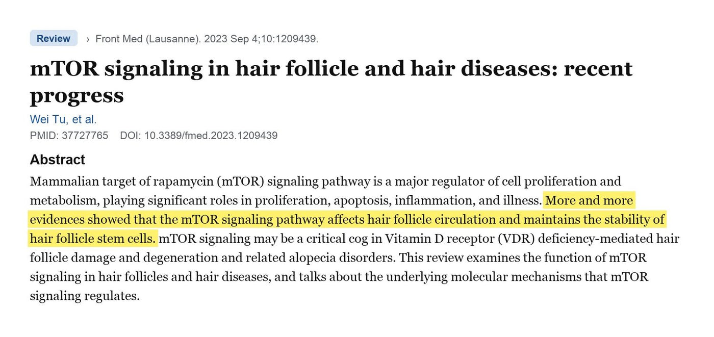 Front Med (Lausanne), 2023 — mTOR signaling governs hair follicle growth and stem-cell stability.