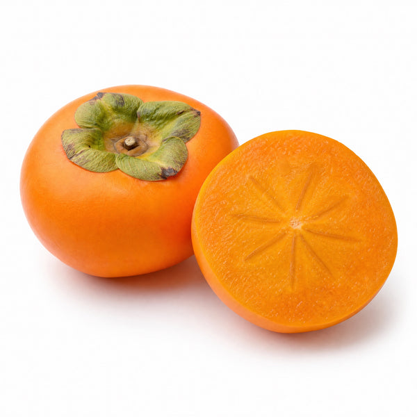 Japanese Persimmon Extract